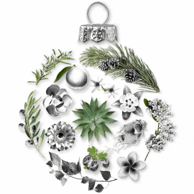 A sparkling ornament created from the types of plants and trees around our resorts
